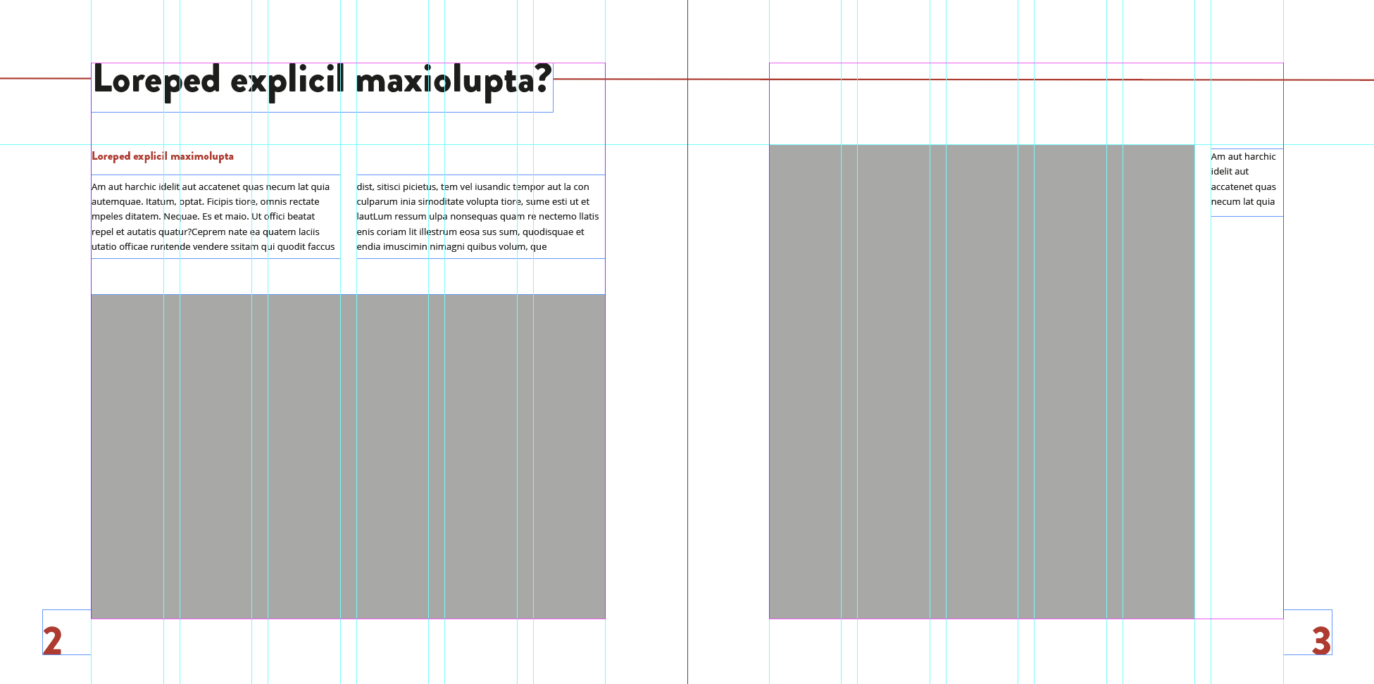 an InDesign view of the grid across a double page in my book